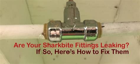 sharkbite leaking|How to Fix a Leaking Sharkbite Fitting 